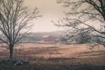 Russet Barn