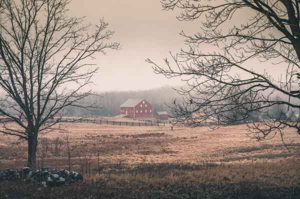 Russet Barn picture