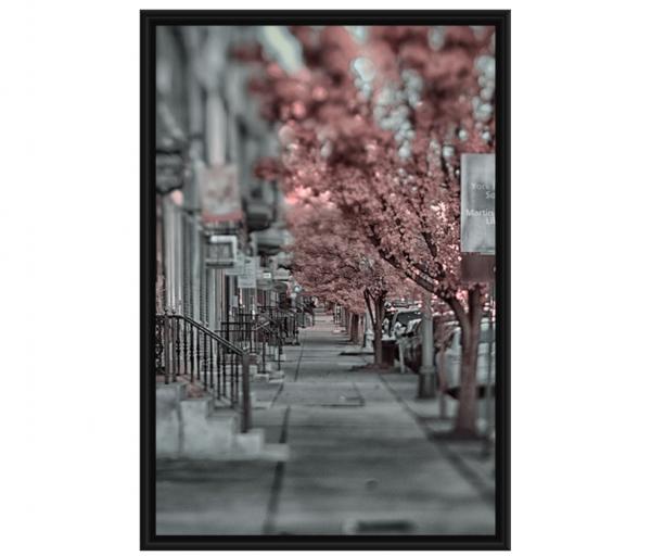 Pink Sidewalk picture