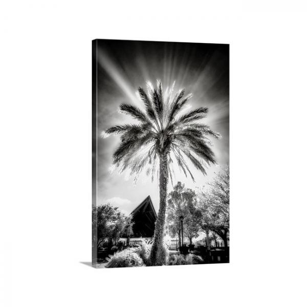 Lighted Palm picture
