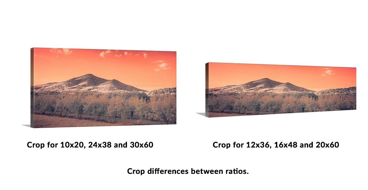 Orange Mountain Shine picture