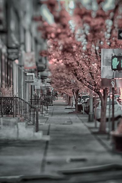 Pink Sidewalk