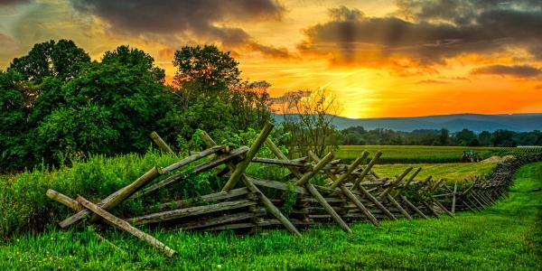 Green Sunset picture