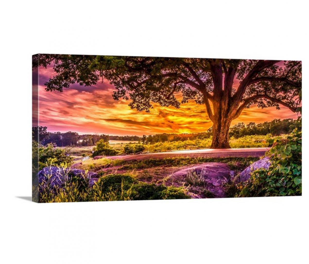 Fairytale Sunset picture