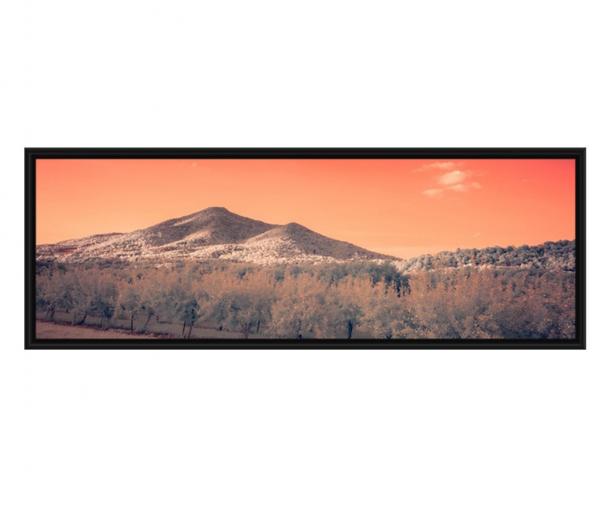 Orange Mountain Shine picture