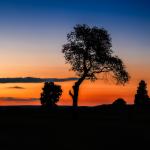 Sunset Silhouette