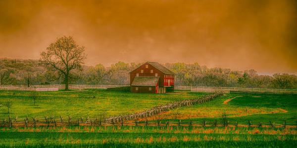 Barn Yard picture