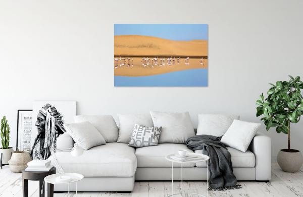 A flock of lesser flamingos in Walvis Bay, Namibia picture