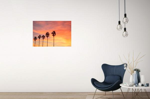 Palm trees at sunset in La Jolla, California picture