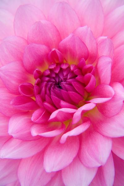 Julia Hiebaum Photography Eventeny