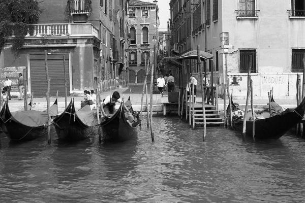 The Young Gondolier