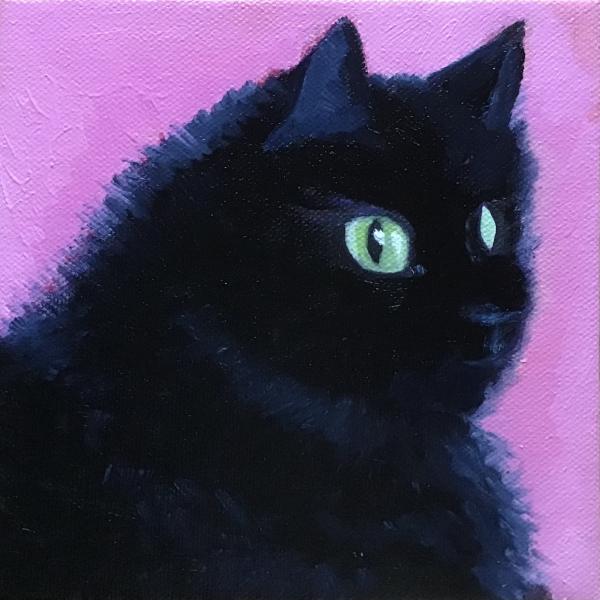 Maudie 7