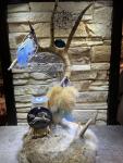 Dreamcatchers on Antler Stand, Ocean Jasper, Raku Spirit Horse, Rabbit Fur, Feathers, & Beadwork
