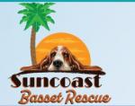 Suncoast Basset Rescue