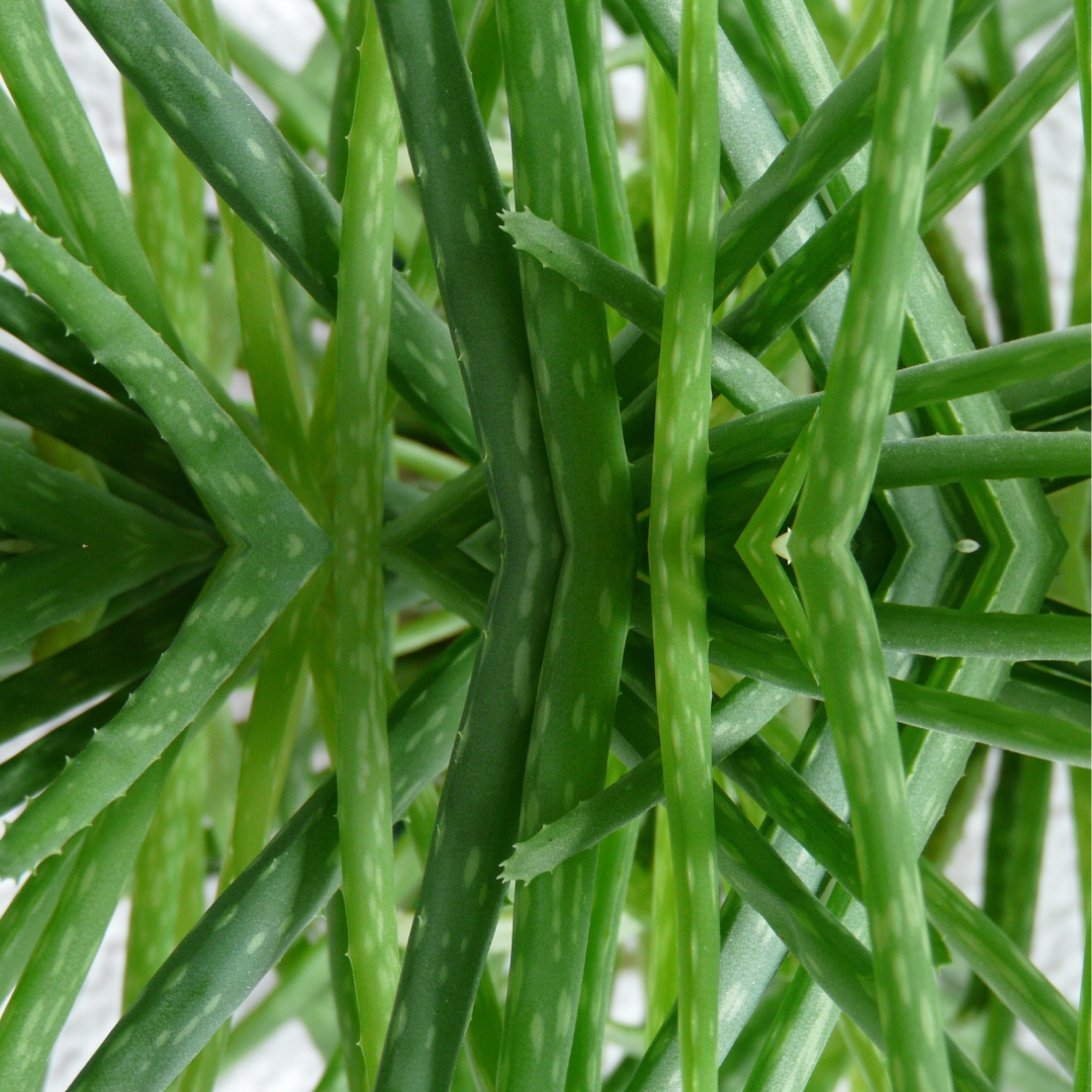 Grooming Space Mens Cream picture