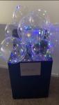 Dazzles Premier