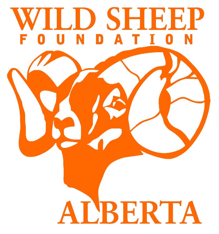 Wild Sheep Foundation Alberta