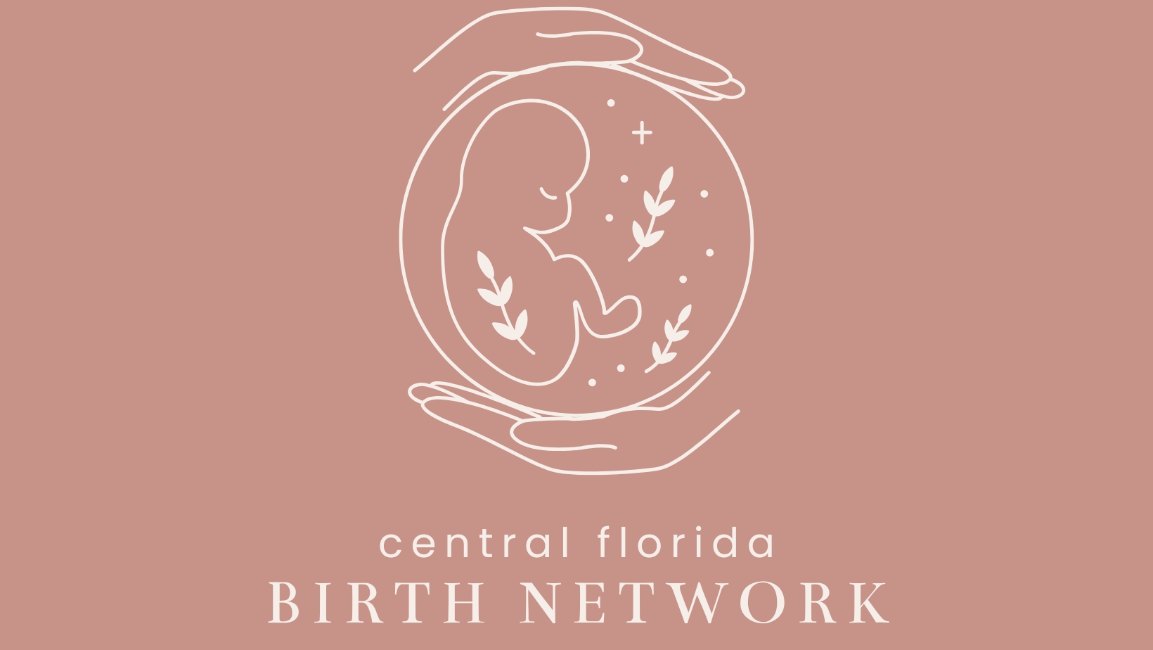 Central Florida Birth Network User Profile