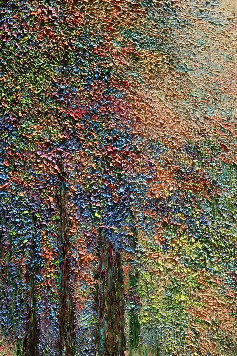 Enchanted Falls picture