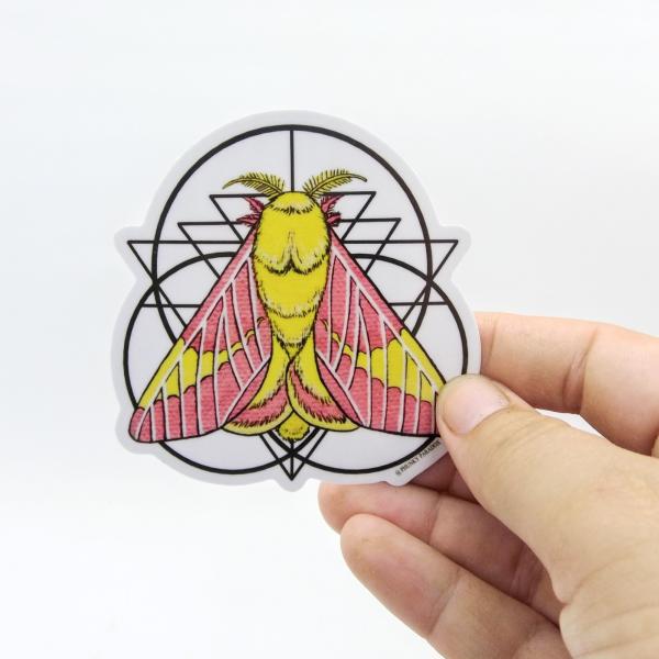 Rosy Maple Moth Sticker picture