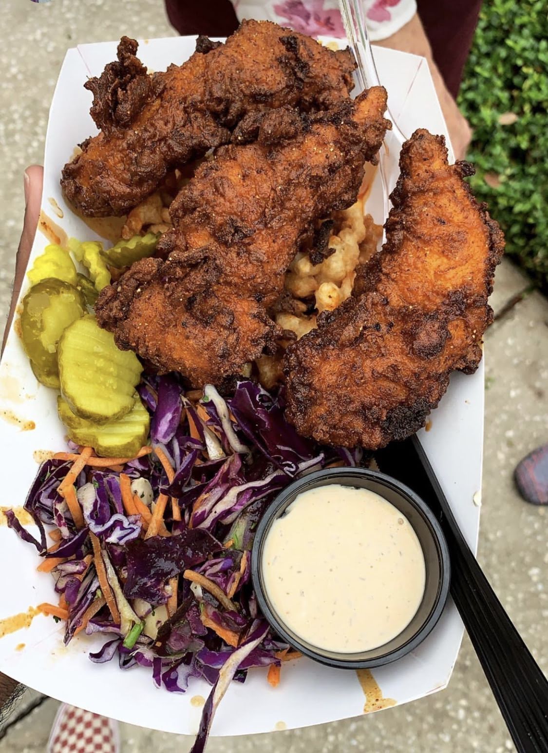 Funnel Vision Food Truck - St Petersburg - Florida - United States 