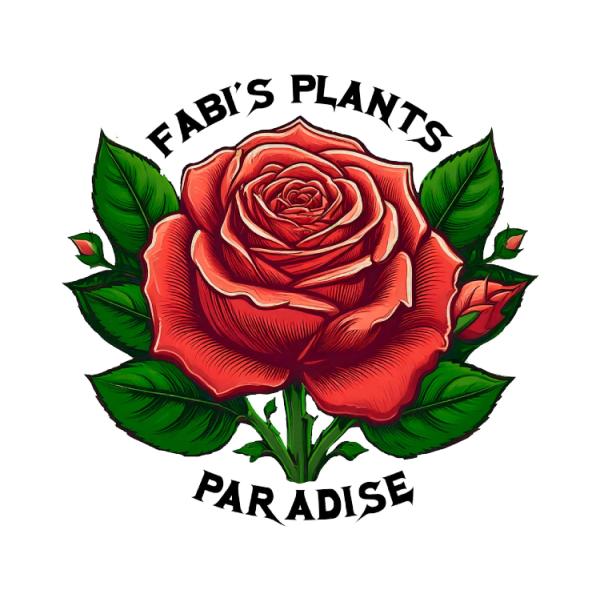 FABI’s plants paradise