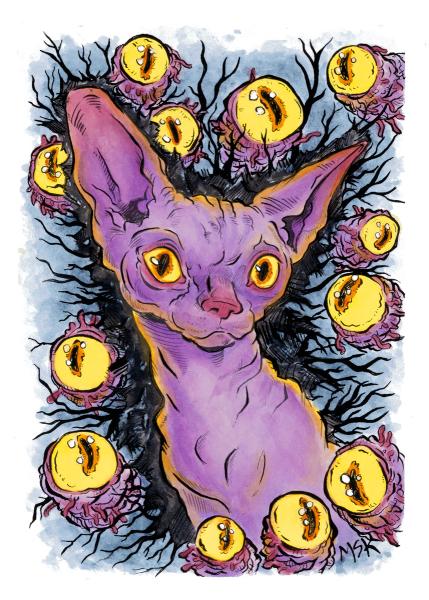 Welcome to the Weird