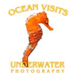 Ocean Visits Underwater Photography