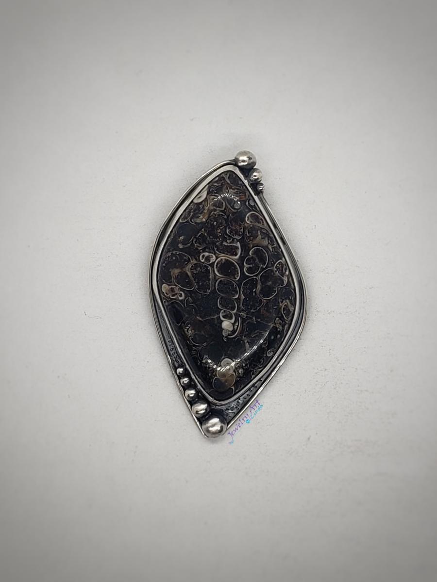 SHELLS FROM THE PAST picture