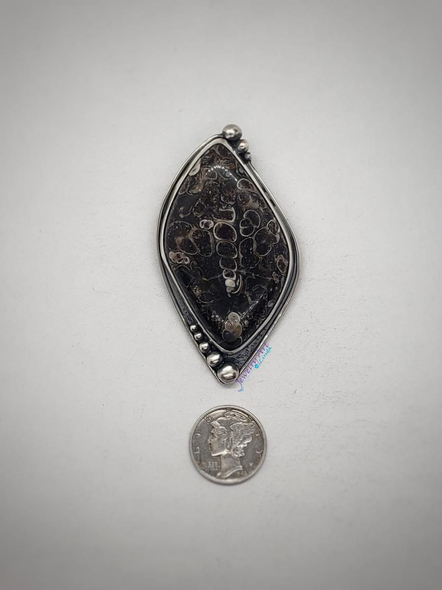 SHELLS FROM THE PAST picture