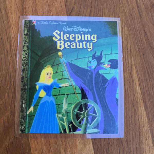 Sleeping Beauty hand-cut paper flower bouquet picture