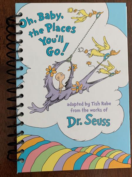 Oh Baby the Places You will Go Full Book Journal picture