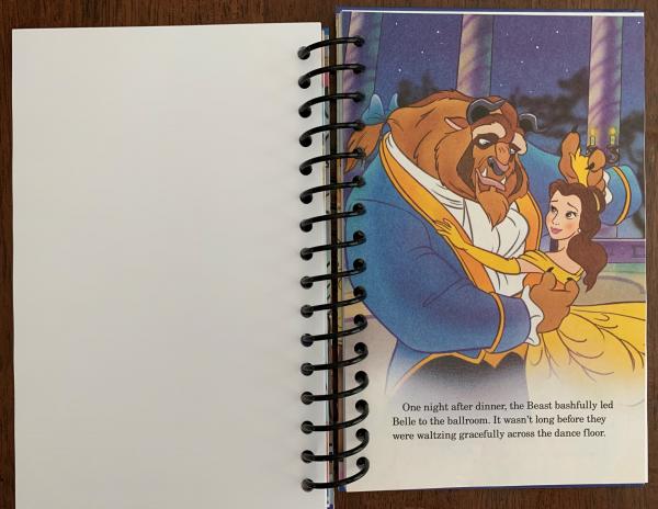 Beauty and The Beast Full Book Journal picture