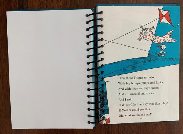 The Cat in the Hat Full Book Journal picture