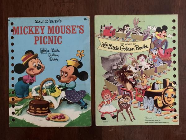 Mickey Mouse's Picnic: Made to Order Journal (3 covers to choose from) picture