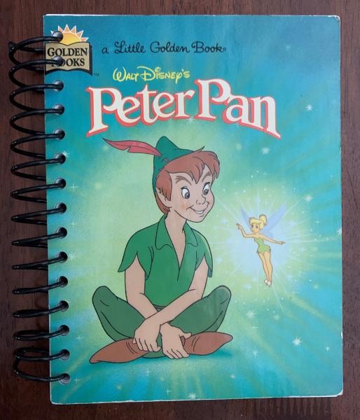 Peter Pan Full Book Journal picture