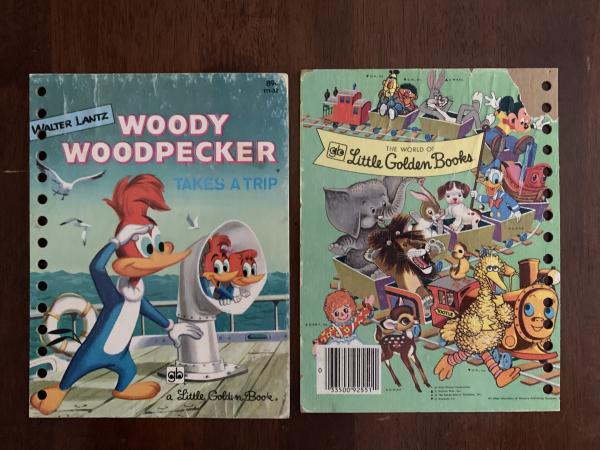 Woody Woodpecker: Made to Order Journal picture