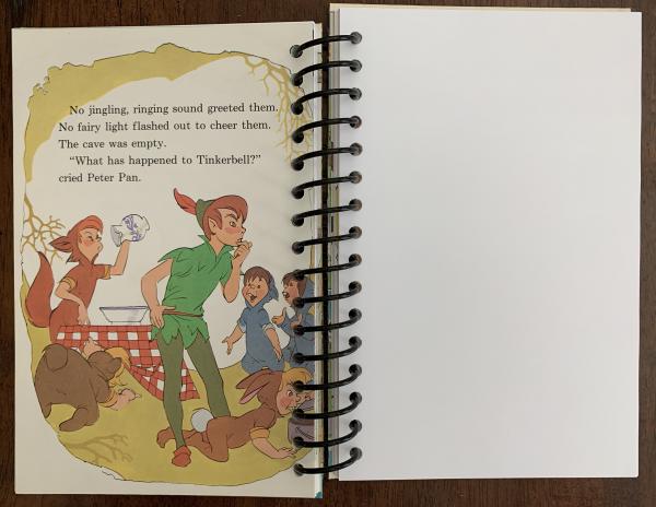 Disney Peter Pan and Captain Hook Full Book Journal picture