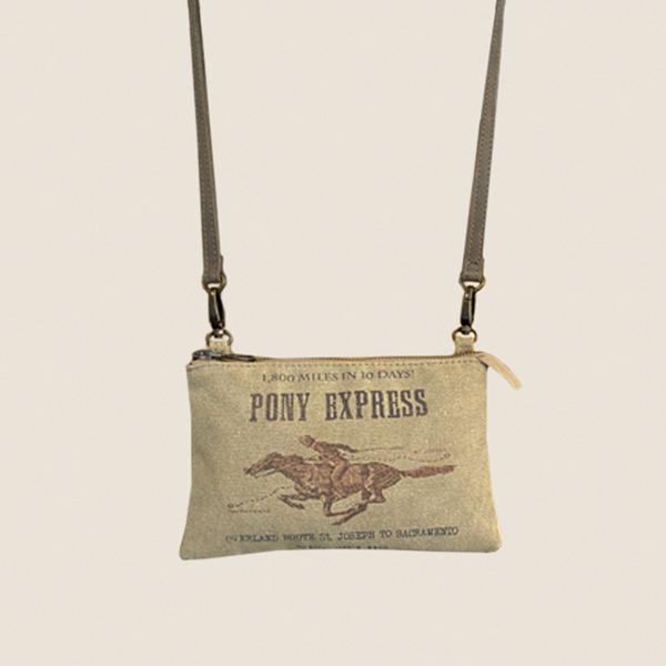 Dixie Hipster- Pony Express picture