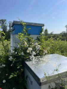 Granville Gardeners & Beekeepers logo