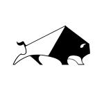 Roamin' Bison Workshop