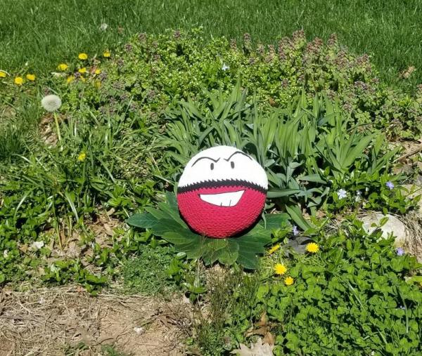Electrode picture