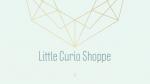 Little Curio Shoppe