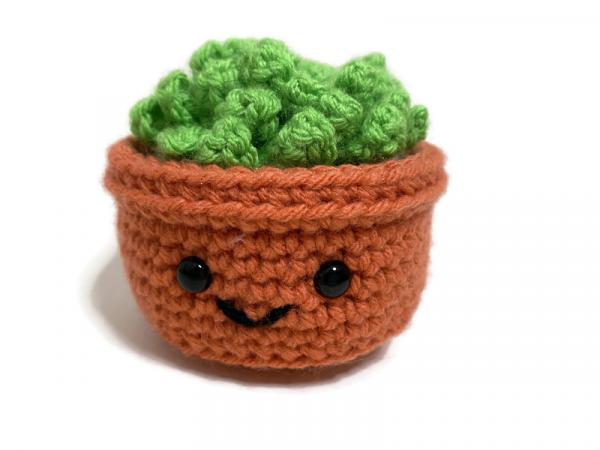 Crochet Cactus Succulent Amigurumi Plush picture