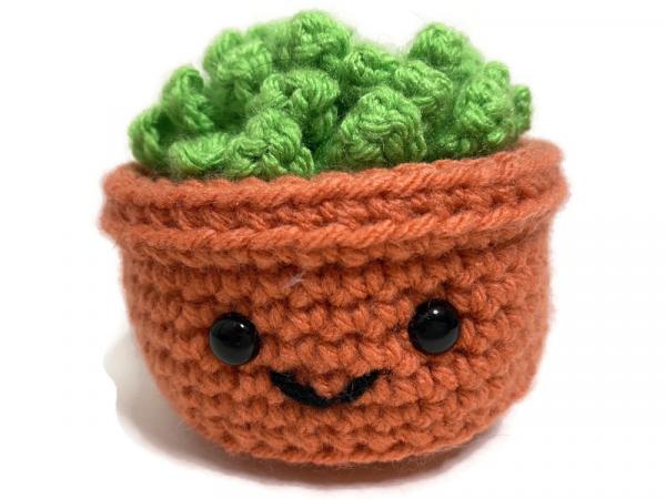 Crochet Cactus Succulent Amigurumi Plush
