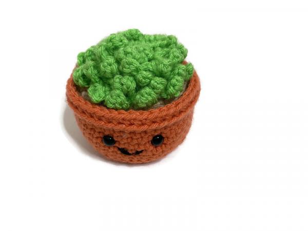 Crochet Cactus Succulent Amigurumi Plush picture
