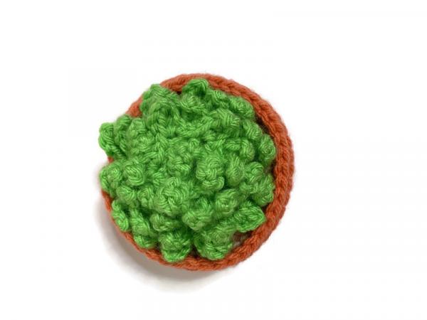 Crochet Cactus Succulent Amigurumi Plush picture