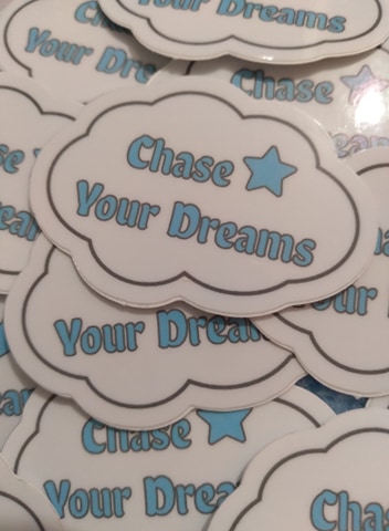 Chase Your Dreams Vinyl Sticker picture