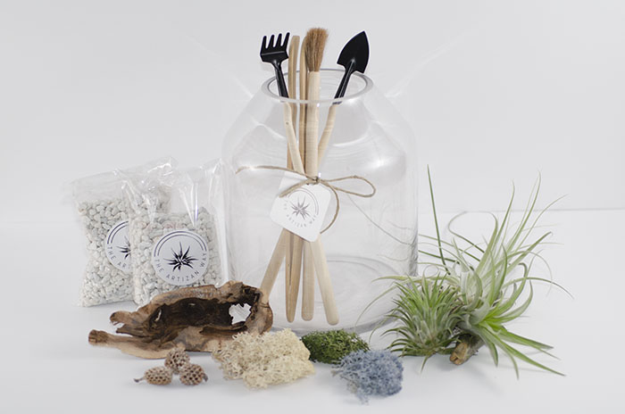 Artizan Terrarium Kit picture