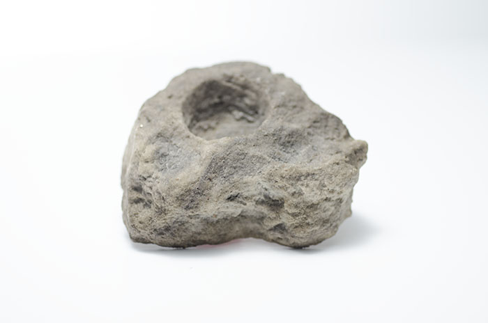 Lava Rock Display - With Plant picture